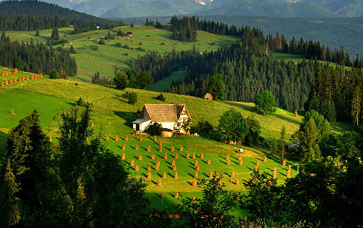 Поиск для инвестирования, иллюстрация #4